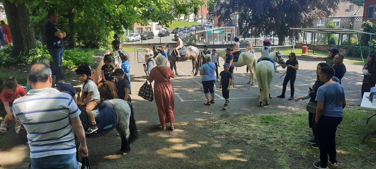 Poneys